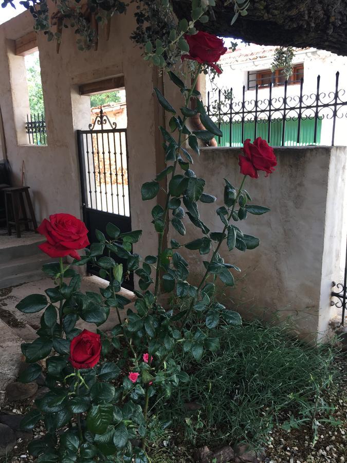 La Casa Del Cartero Pablo Konuk evi Saldana de Ayllon Dış mekan fotoğraf